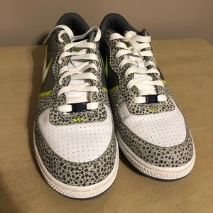 SB05. Nike zoom air low